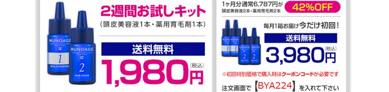 �����ׂ̖̈�p��э܁yW�A�v���[�`�w�A�z���T�C�g